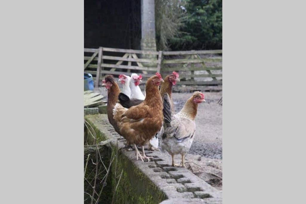 Stones Cottage Farm, Nr Haworth, Family Friendly, Work Friendly, Gaming Barn, Crafting, Free Wifi, Free Parking, Ev Point Oxenhope Zewnętrze zdjęcie