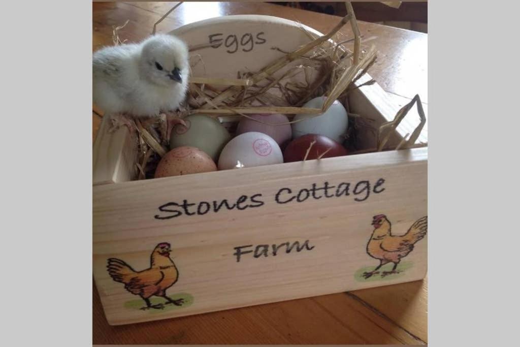 Stones Cottage Farm, Nr Haworth, Family Friendly, Work Friendly, Gaming Barn, Crafting, Free Wifi, Free Parking, Ev Point Oxenhope Zewnętrze zdjęcie